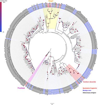 A mouthpart transcriptome for Spodoptera frugiperda adults: identification of candidate chemoreceptors and investigation of expression patterns